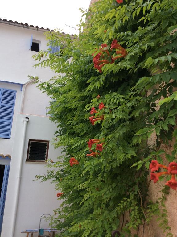 Ithaka Vacacional Hotel Artá Buitenkant foto